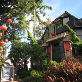 Tea House Gallery