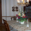 Ayla's Tea Room