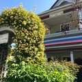 The Painted Lady Rose Rose Tea House