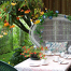 Perennial Pleasures Nursery & Tea Garden