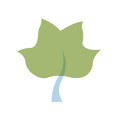 Poplar Creek Spa