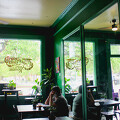 Undergrowth Coffee