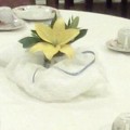 A Southern Belle's Tea Room
